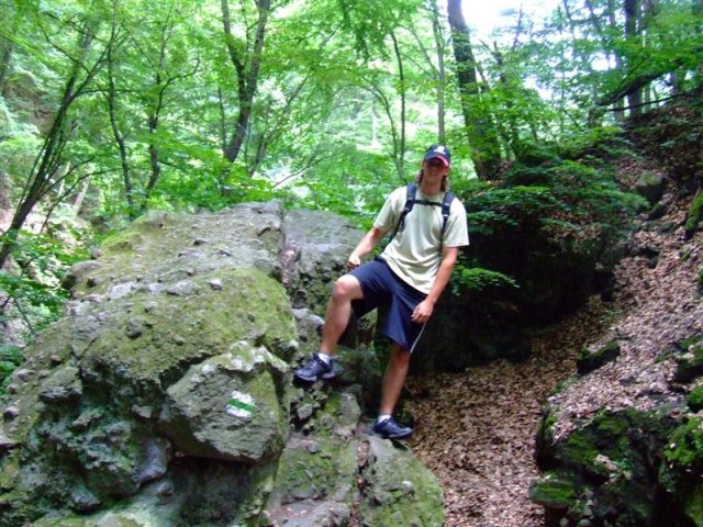 DSCF0118 (Medium)